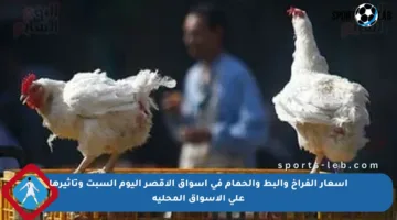 أسعار الفراخ والبط والحمام في أسواق الأقصر اليوم السبت وتأثيرها على الأسواق المحلية